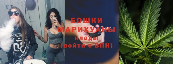 spice Богданович
