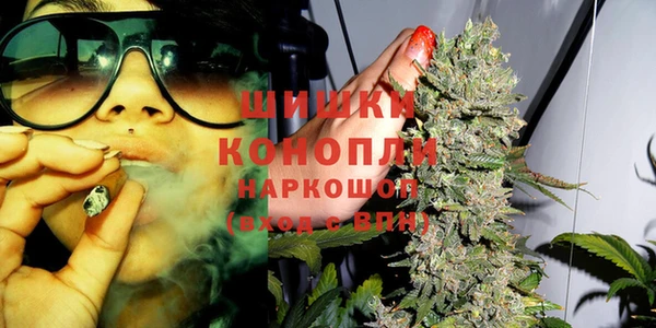 прущие крисы Беломорск