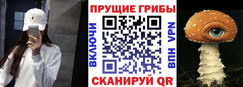 купить  цена  Окуловка  Галлюциногенные грибы MAGIC MUSHROOMS 
